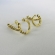 Brinco Ear Cuff com Piercing Fake e Zircônias Colorida Banhado em Ouro 18k - Dourado